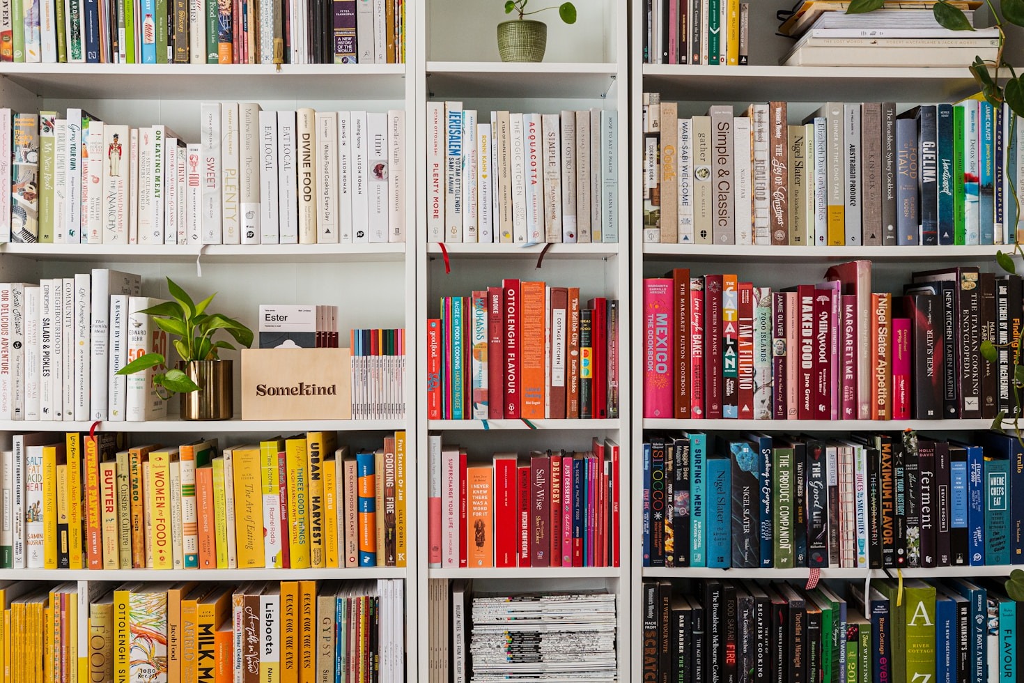 Why Library Books Matter in Education Today
